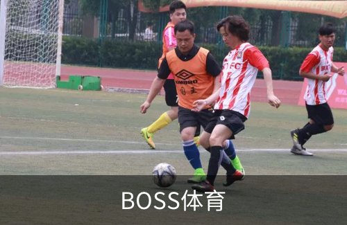 BOSS体育概况